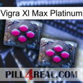 Vigra Xl Max Platinum 01